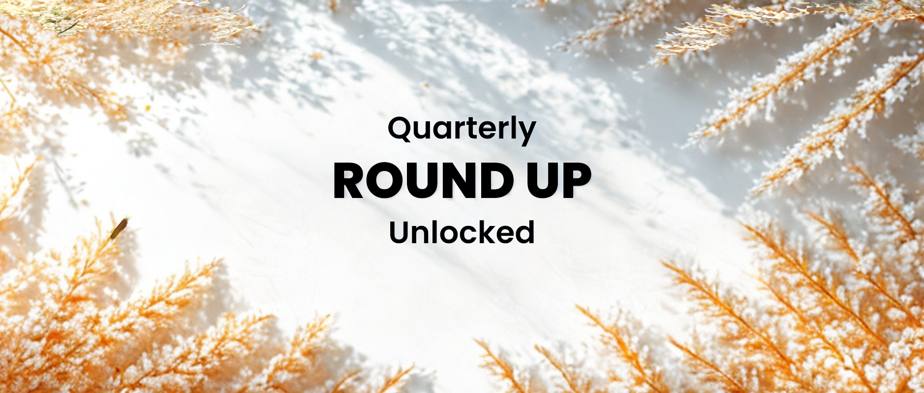 Quarterly Round Up: What's New in garage Hive - Summer 2025